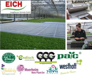 partenaires jeunes plants