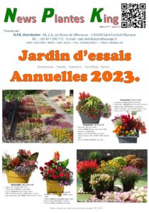 Rétrospective 6