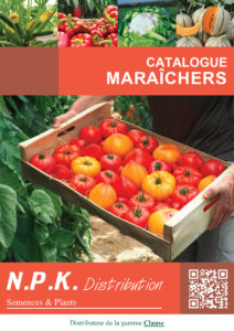 Graines (potagères)