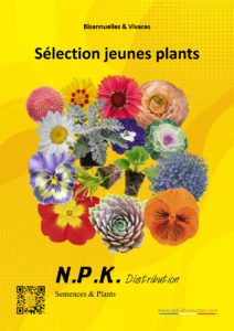 Jeunes plants | Plants (Bisa. & Vivace)