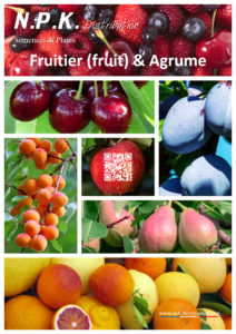 Fruitiers (fruits) & Agrumes